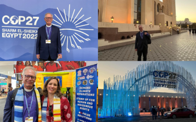 DioCal News & Events