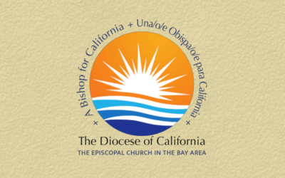 Bishop Search and Transition Committee begins reviewing applications