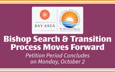Bishop Search & Transition Process Moves Forward: Petition Period Concludes on Monday, October 2
