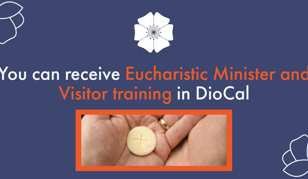You can receive Eucharistic Minister and Visitor training in DioCal