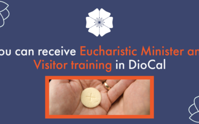 You can receive Eucharistic Minister and Visitor training in DioCal