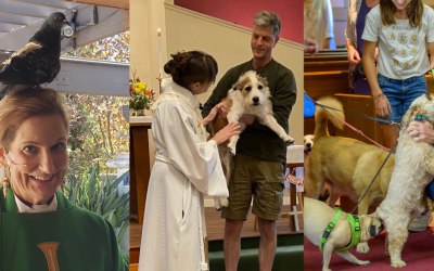 DioCal News and Events