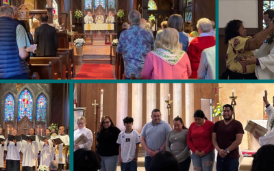DioCal News and Events