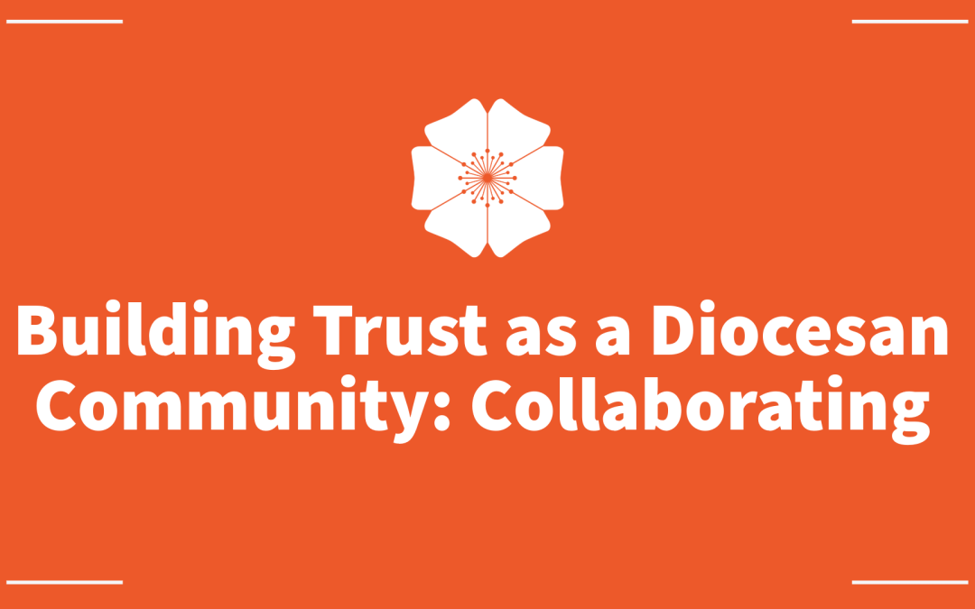 Building Trust as a Diocesan Community: Collaborating
