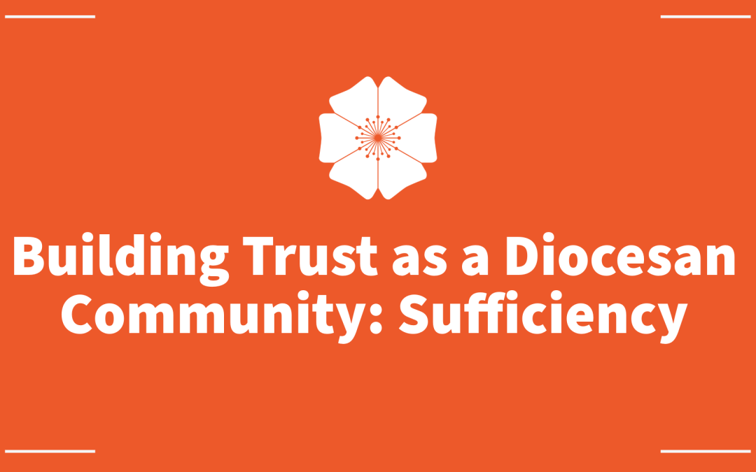 Building Trust as a Diocesan Community: Sufficiency
