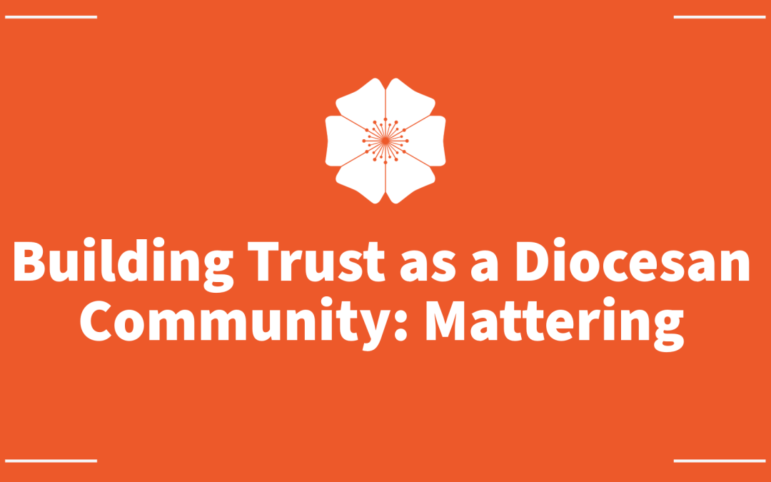 Building Trust as a Diocesan Community: Mattering