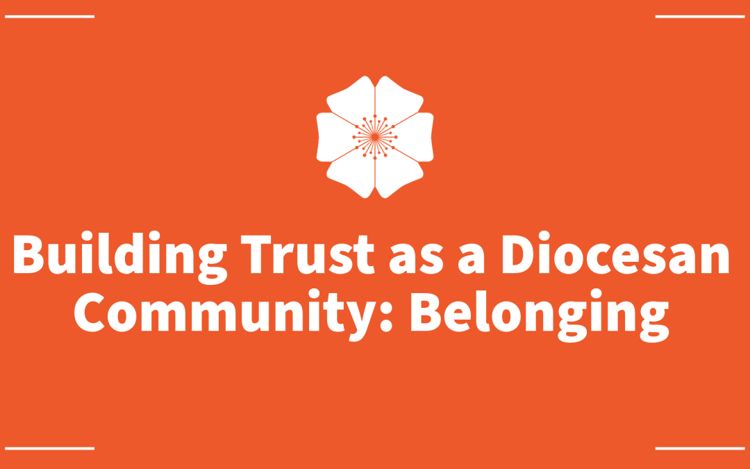 Building Trust as a Diocesan Community: Belonging