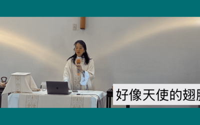 DioCal News and Events