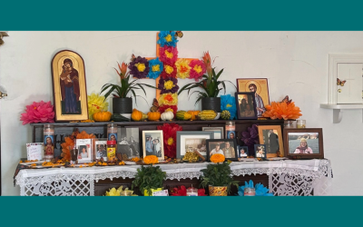 DioCal News and Events
