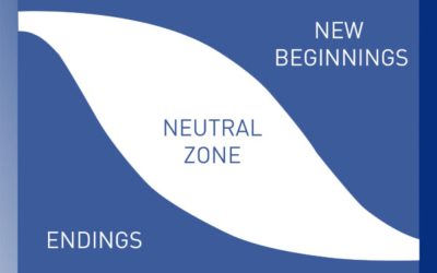 The Holy Wilderness of Transition