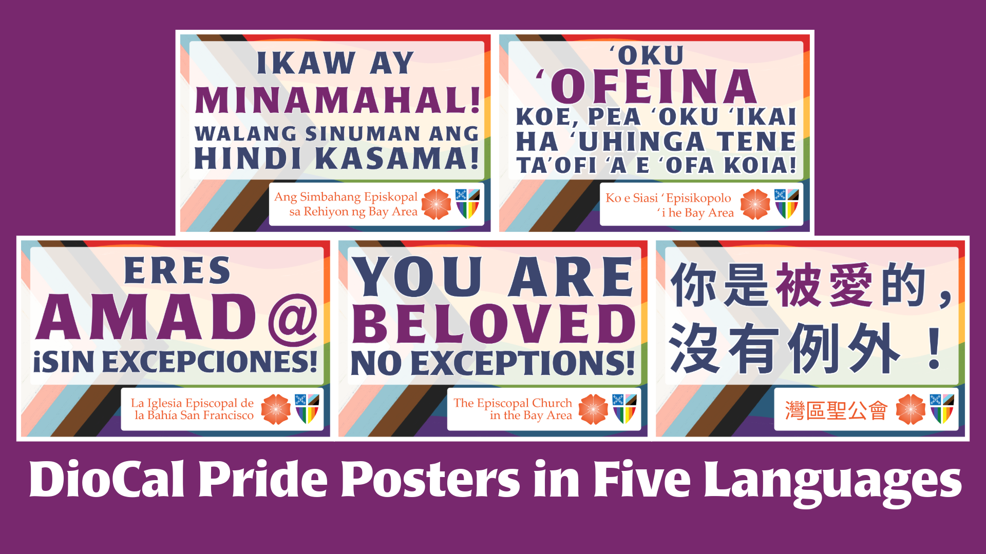 Translated Prid Posters